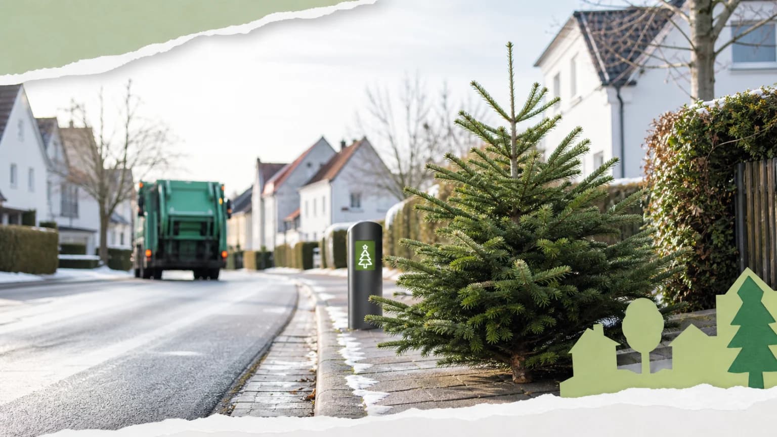 Ravensburg sucht Weihnachtsbaum für 2025