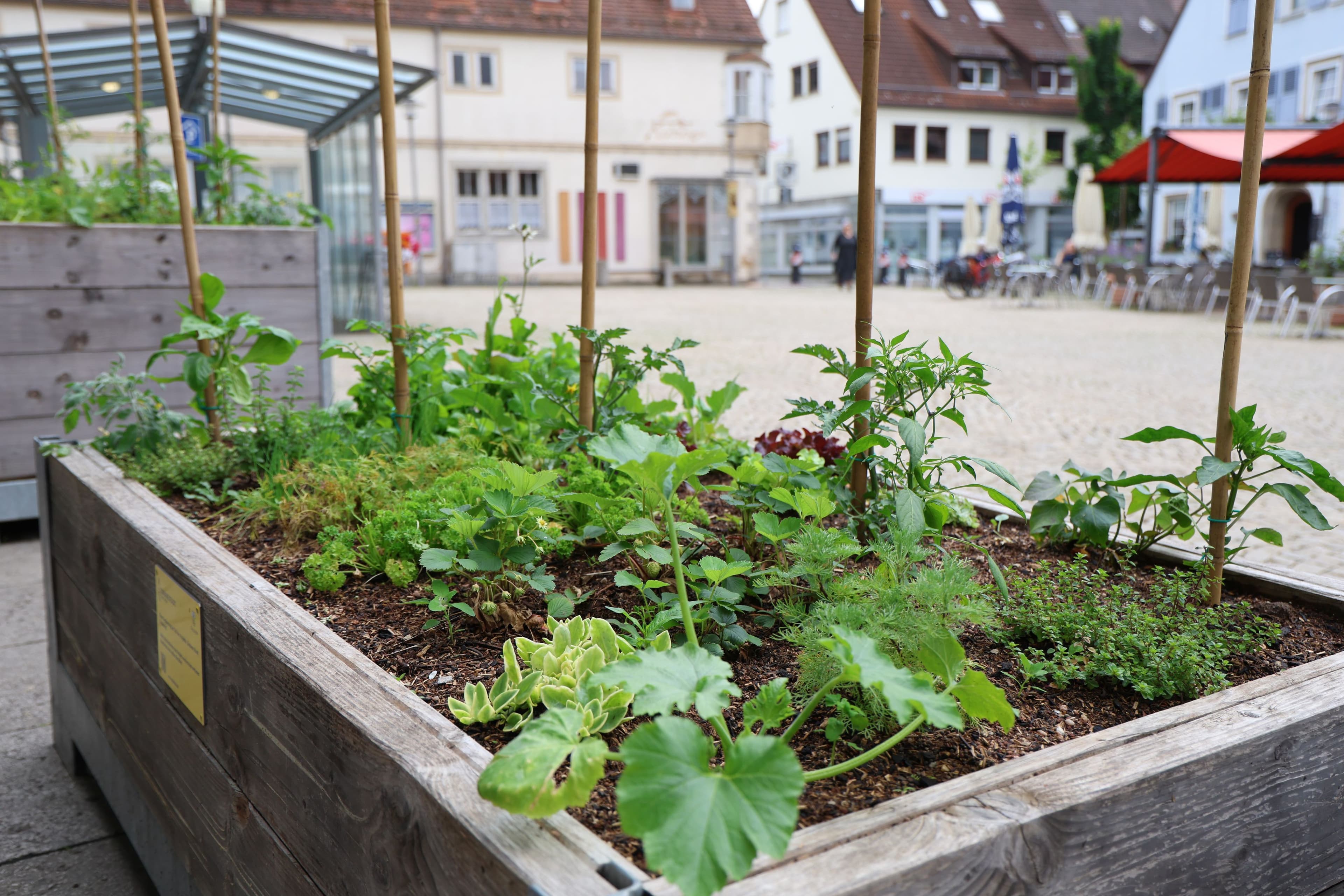 Crailsheim wird zur essbaren Stadt