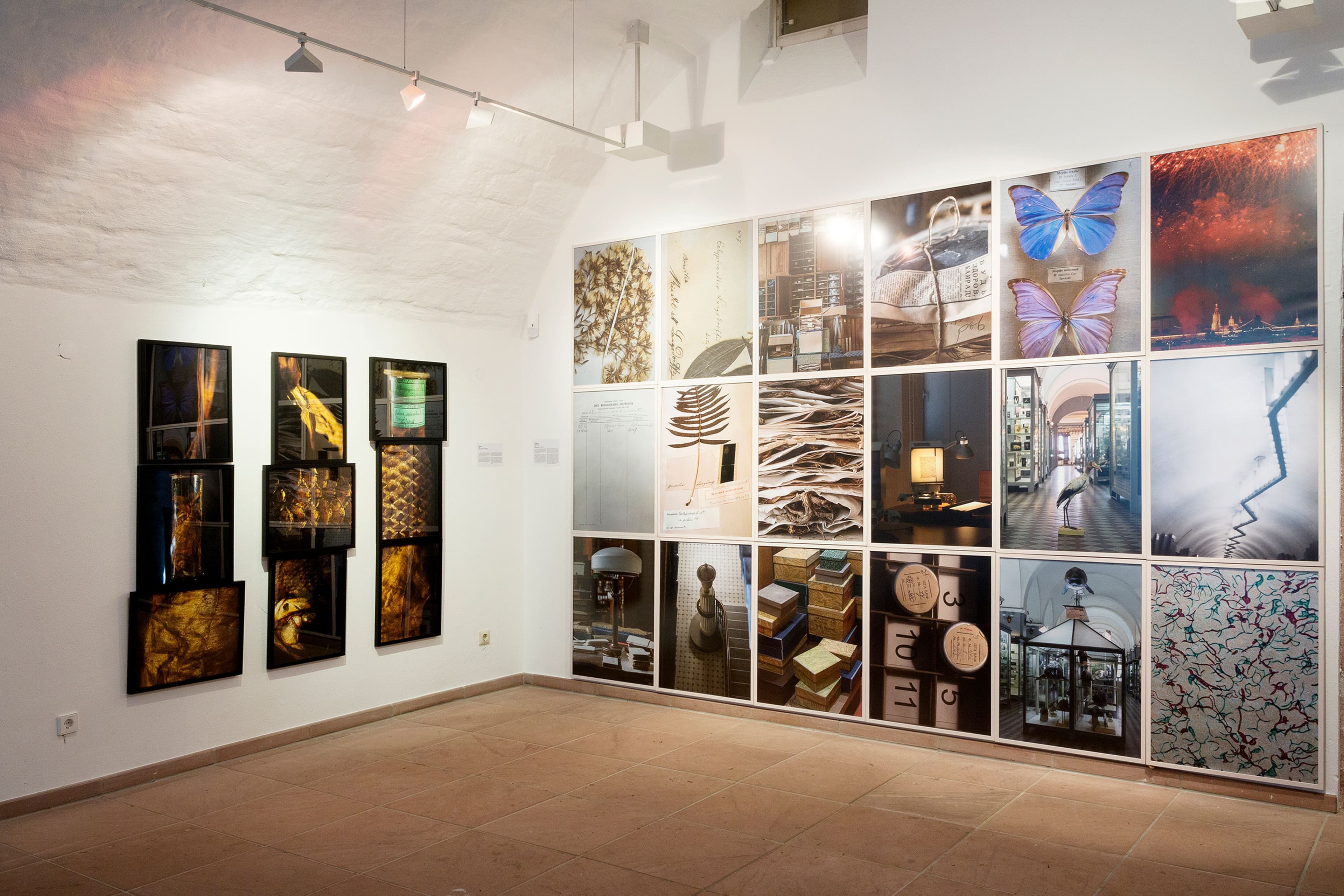 Finissage der Langsdorff-Ausstellung: Einblick in Brasilien und kulturelle Vielfalt