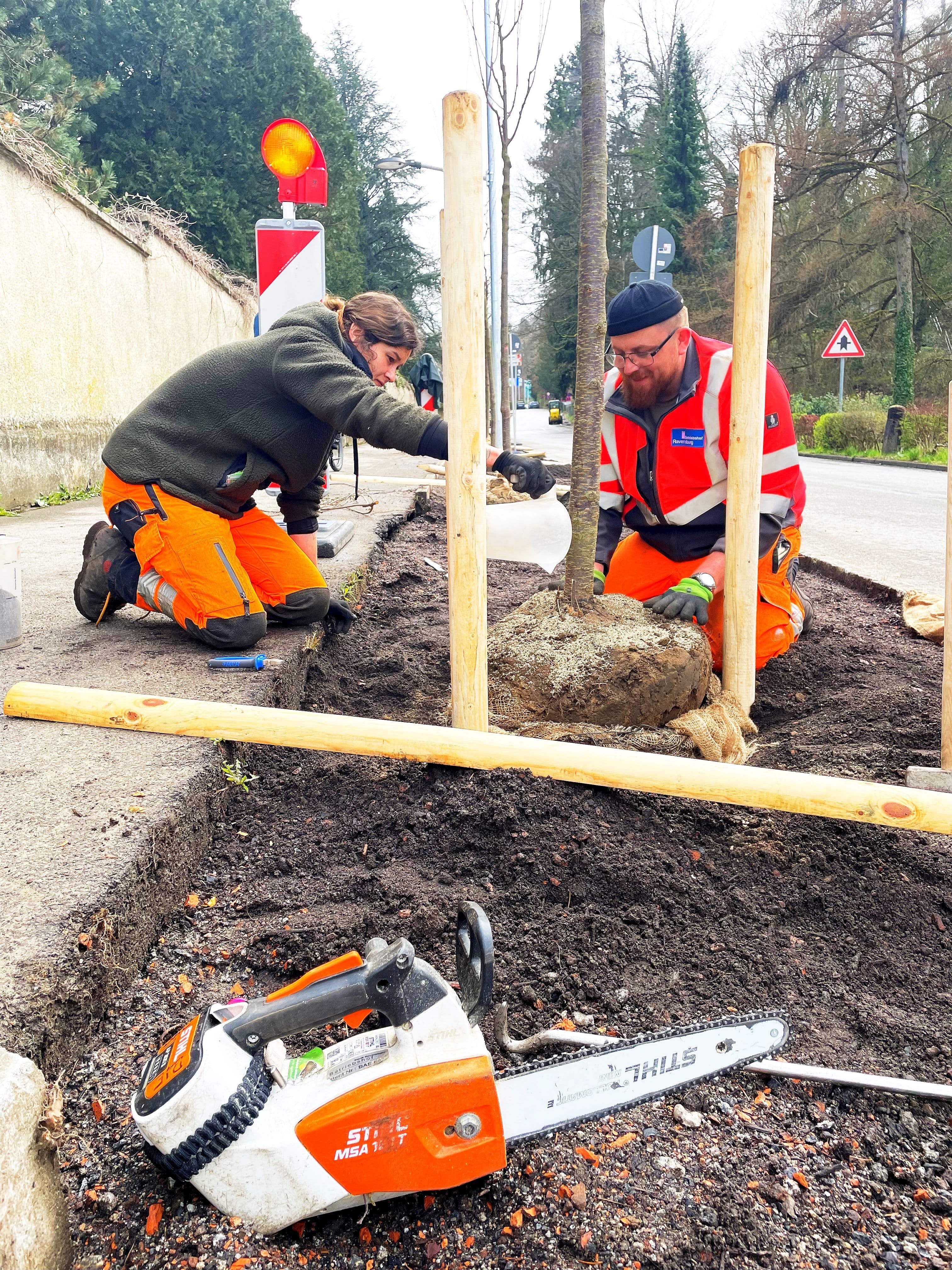 Mitgestaltung des Stadtseniorenrats in Weinstadt