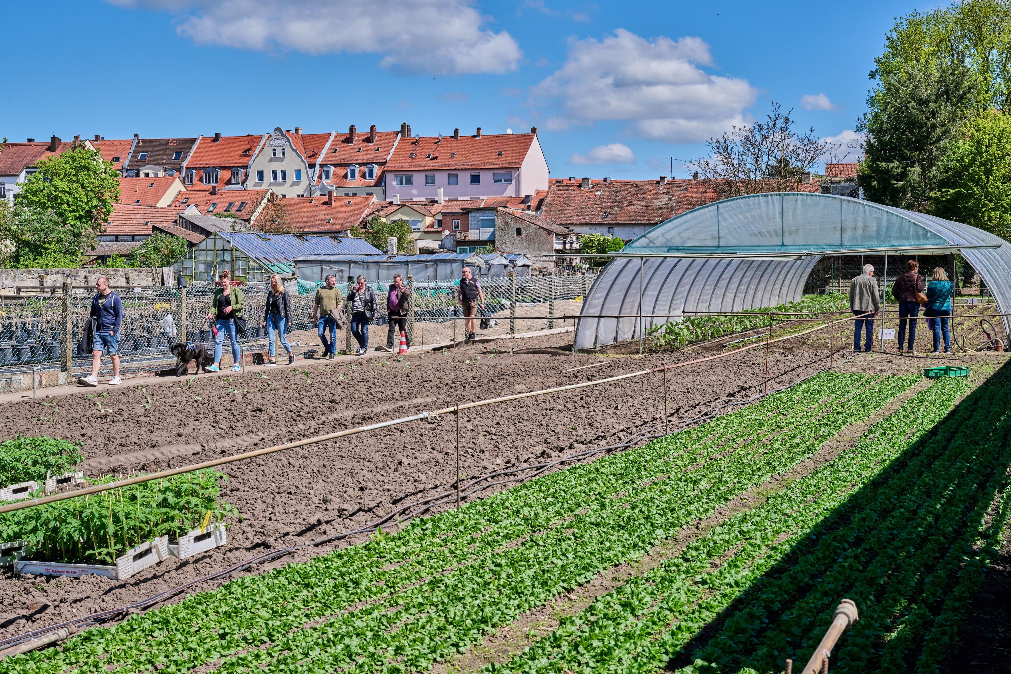 Neue Entwicklungen bei Stuttgart Rosenstein