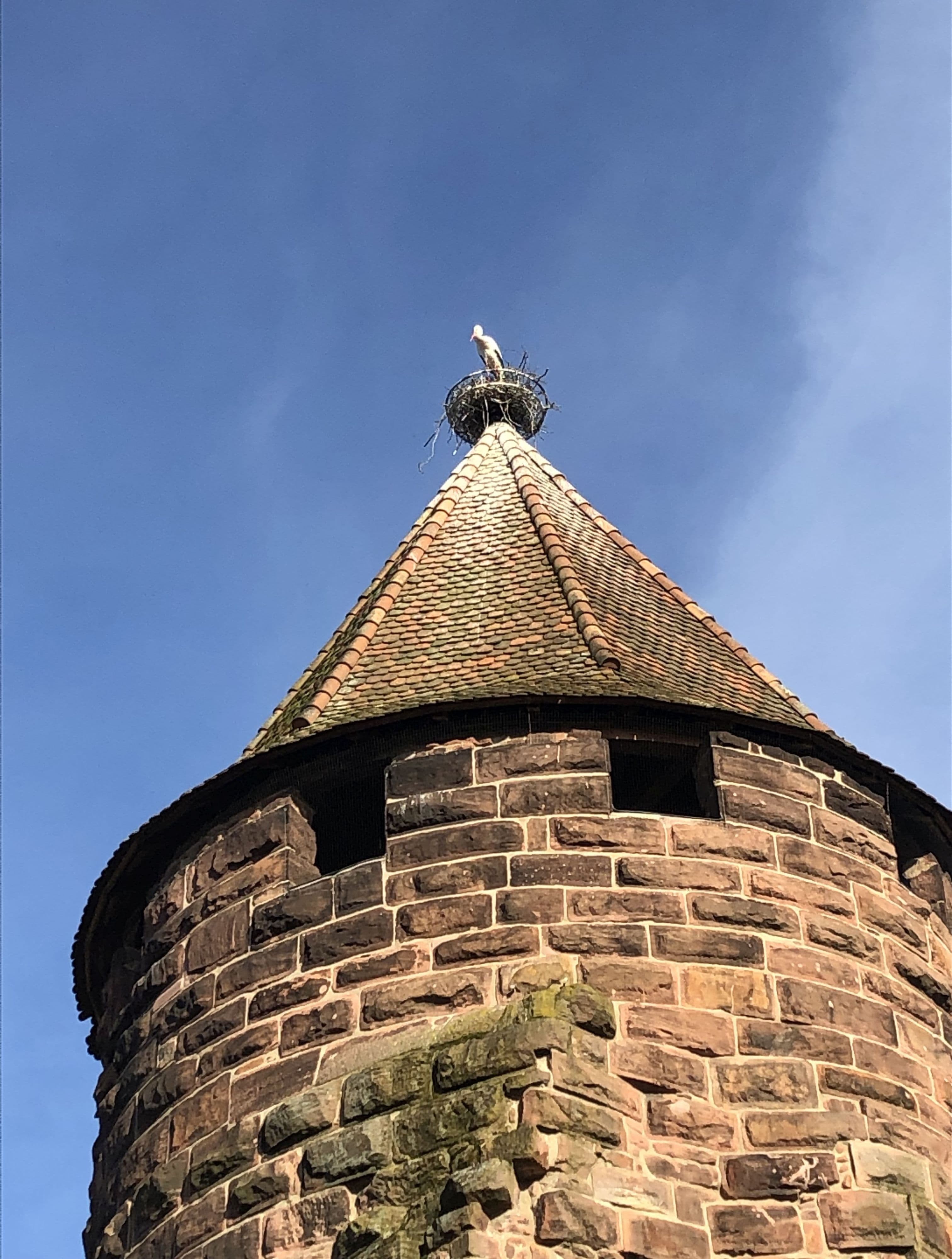 Pflege am Lahrer Storchenturm verschoben