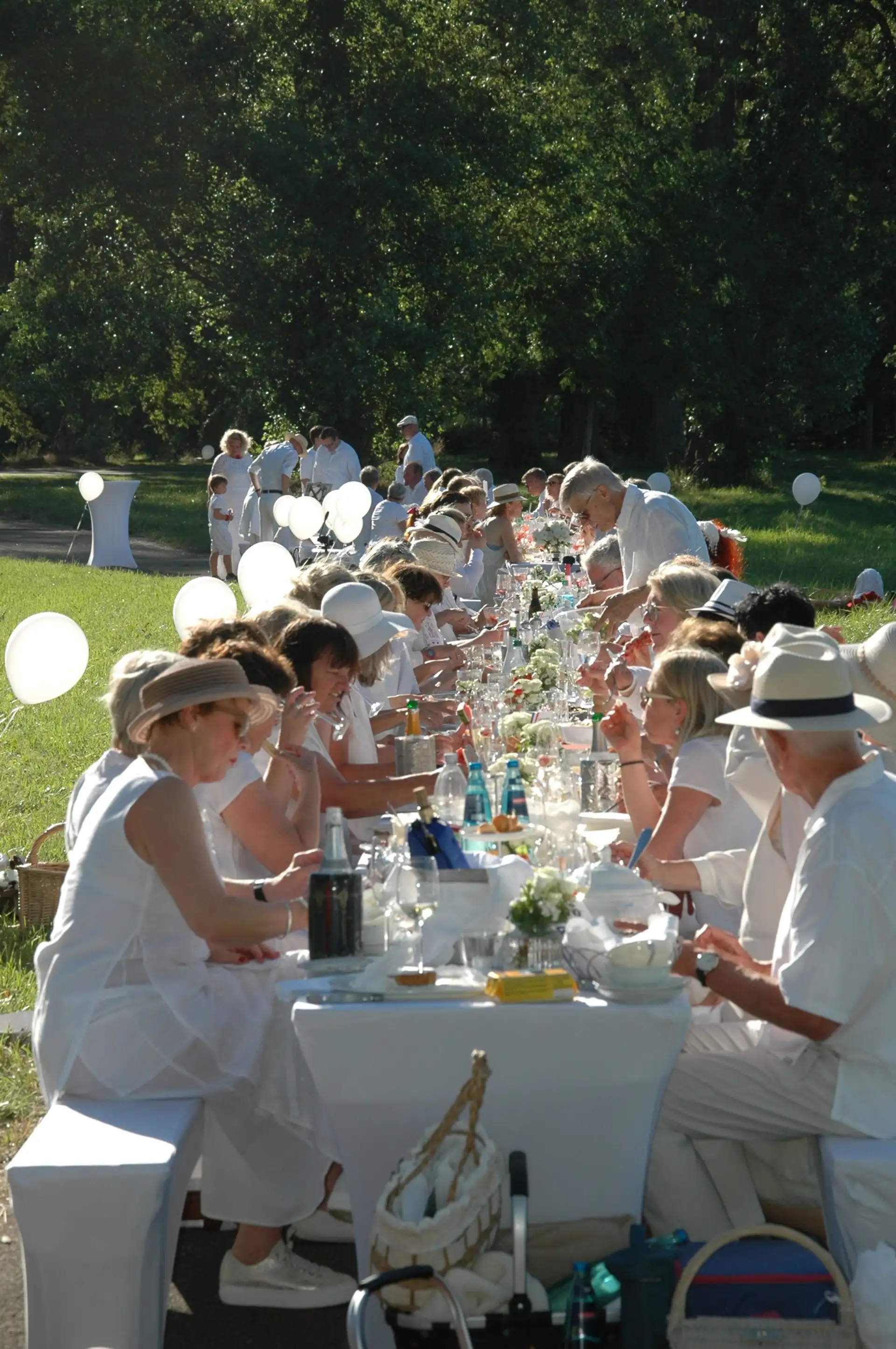 Dîner en blanc 2025: Weißes Picknick im Schlosspark