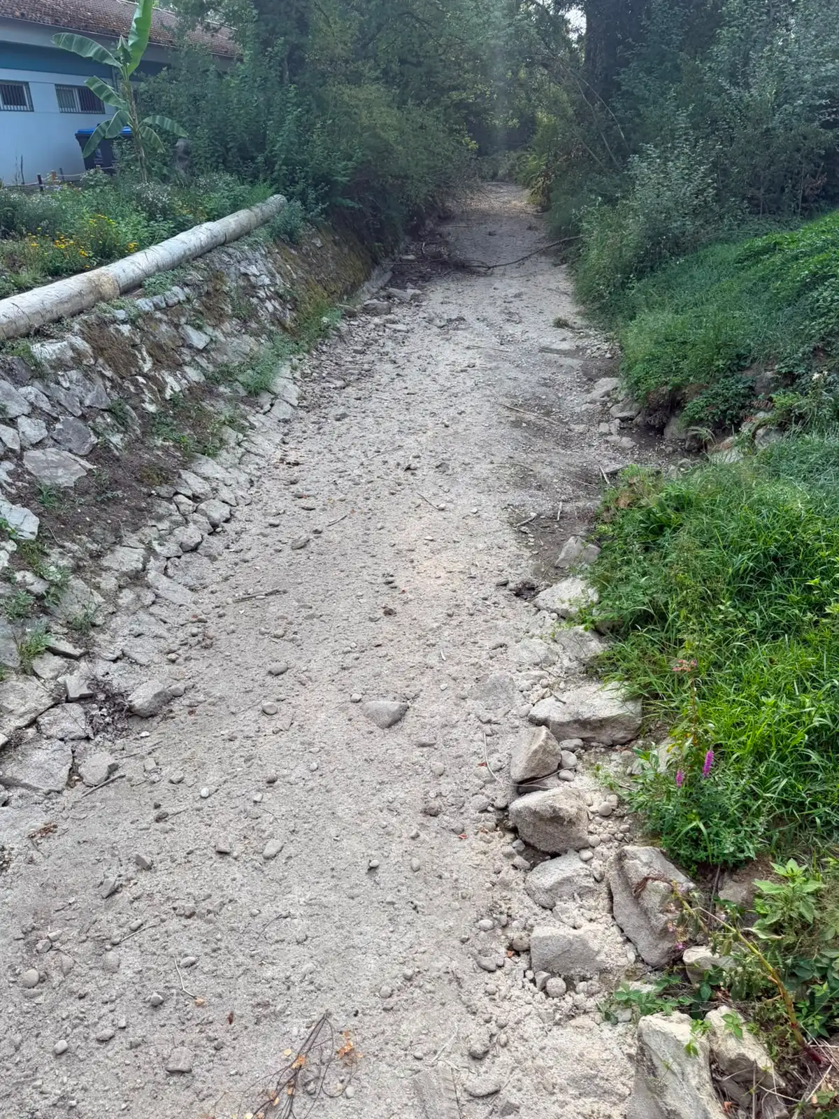 Der Nonnenbach am 5. August 2026 bei Kressbronn.