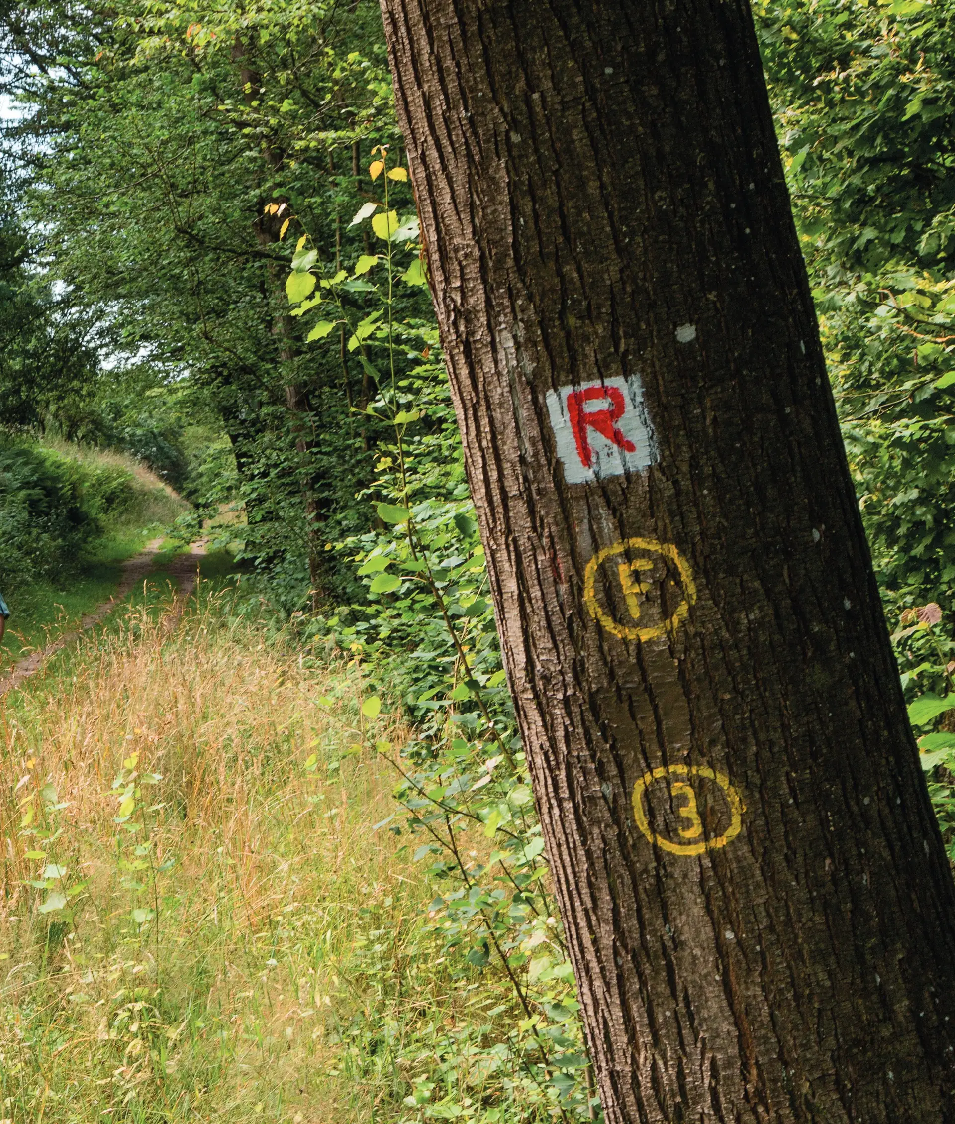 Eberbach wandert: Geführte Touren von April bis Oktober 2026