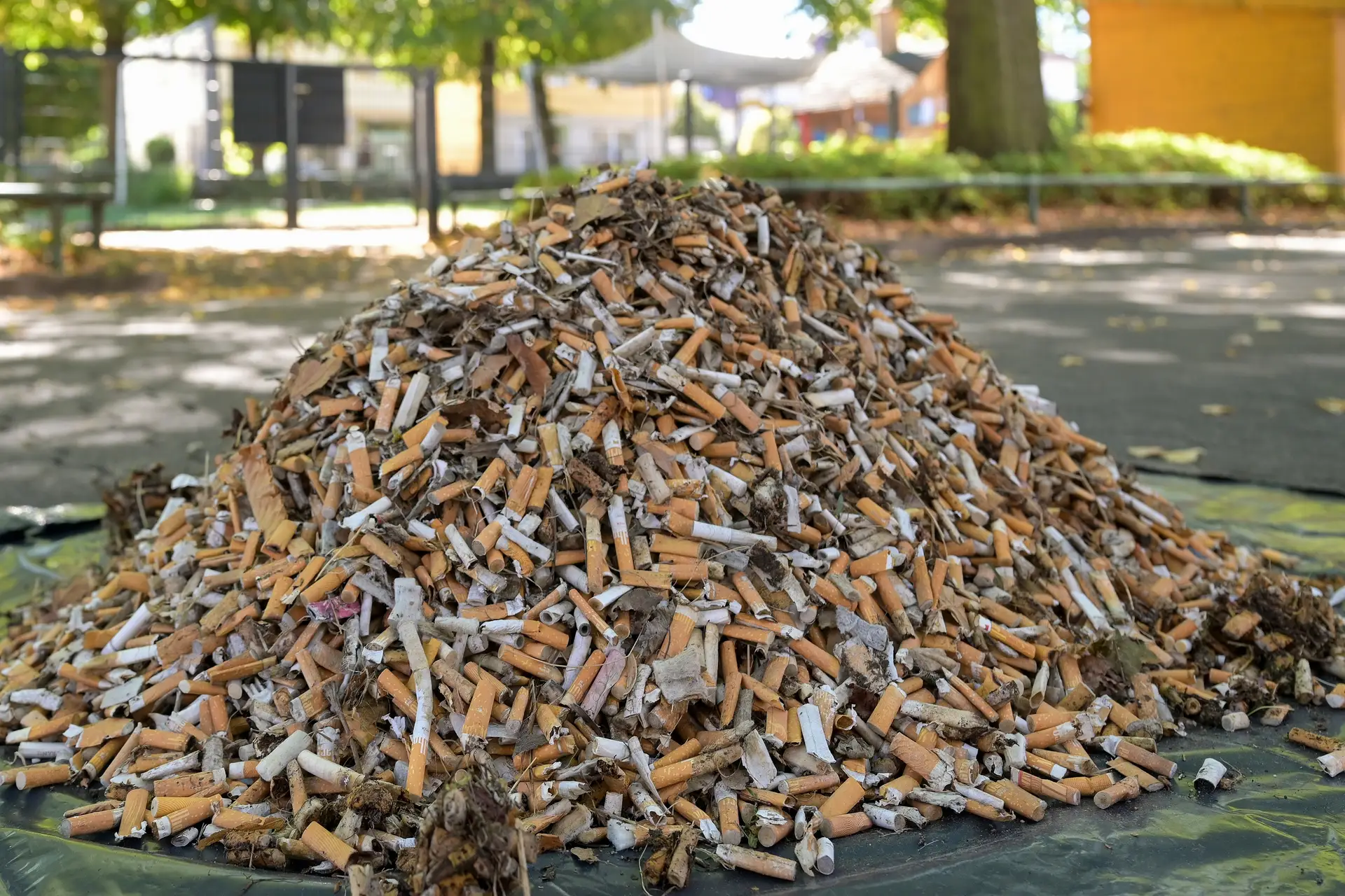 Ganze 6,5 Kilogramm – und damit rund 32.200 Zigarettenstummel – kamen bei der Sammelaktion der Stadtverwaltung zusammen.
